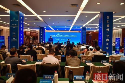2021中國 德州高層次人才創(chuàng)新創(chuàng)業(yè)大賽 武漢分賽在漢成功舉辦