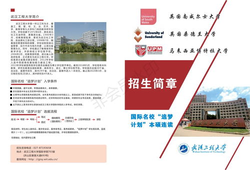 武漢工程大學3 1追夢計劃國際本科學歷認可嗎